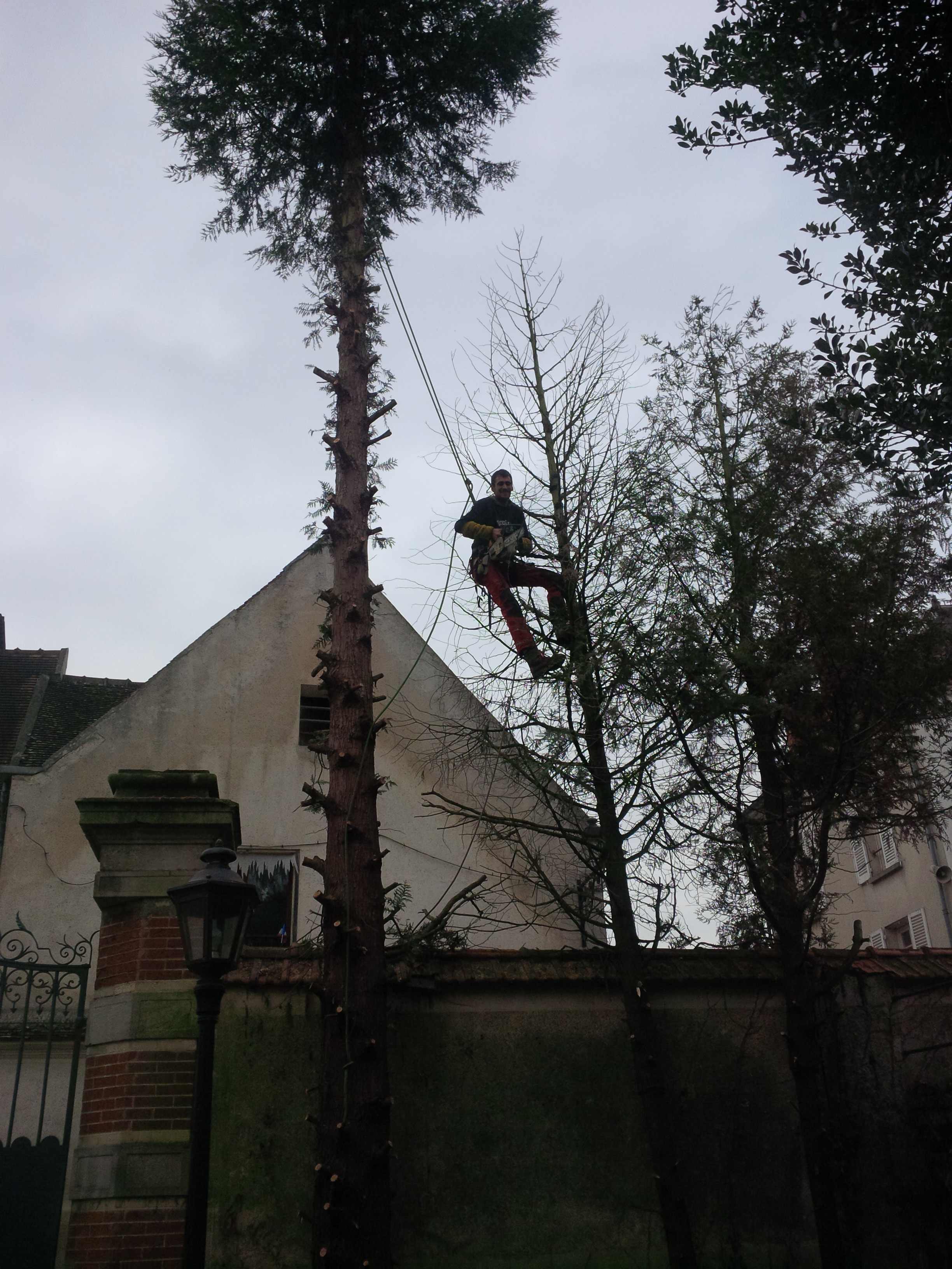 elagage abattage Chezy sur marne 02570